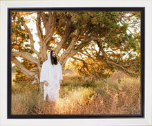 Load image into Gallery viewer, Our Tree of Life
