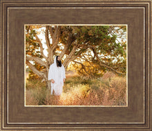 Load image into Gallery viewer, Our Tree of Life
