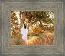 Load image into Gallery viewer, Our Tree of Life
