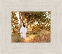 Load image into Gallery viewer, Our Tree of Life

