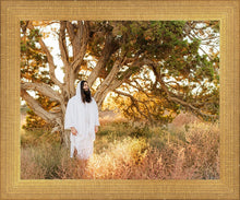 Load image into Gallery viewer, Our Tree of Life
