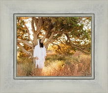 Load image into Gallery viewer, Our Tree of Life
