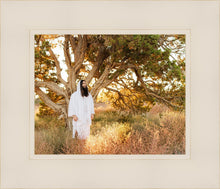 Load image into Gallery viewer, Our Tree of Life
