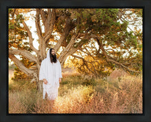 Load image into Gallery viewer, Our Tree of Life
