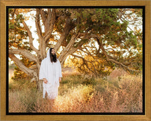 Load image into Gallery viewer, Our Tree of Life
