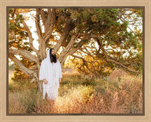 Load image into Gallery viewer, Our Tree of Life
