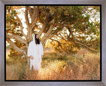 Load image into Gallery viewer, Our Tree of Life
