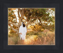 Load image into Gallery viewer, Our Tree of Life

