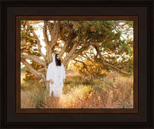 Load image into Gallery viewer, Our Tree of Life
