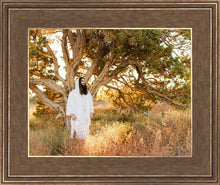 Load image into Gallery viewer, Our Tree of Life
