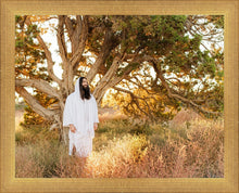 Load image into Gallery viewer, Our Tree of Life
