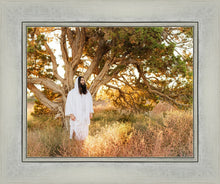 Load image into Gallery viewer, Our Tree of Life
