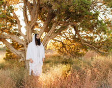 Load image into Gallery viewer, Our Tree of Life
