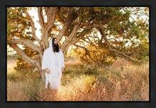 Load image into Gallery viewer, Our Tree of Life
