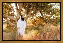 Load image into Gallery viewer, Our Tree of Life

