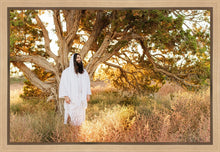 Load image into Gallery viewer, Our Tree of Life
