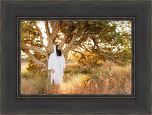 Load image into Gallery viewer, Our Tree of Life
