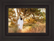 Load image into Gallery viewer, Our Tree of Life
