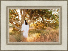 Load image into Gallery viewer, Our Tree of Life
