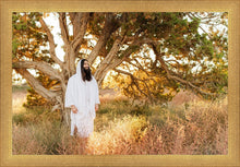 Load image into Gallery viewer, Our Tree of Life

