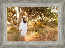 Load image into Gallery viewer, Our Tree of Life
