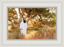 Load image into Gallery viewer, Our Tree of Life
