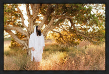 Load image into Gallery viewer, Our Tree of Life
