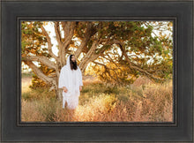 Load image into Gallery viewer, Our Tree of Life
