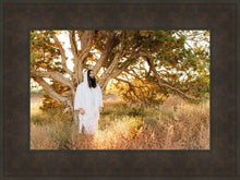 Load image into Gallery viewer, Our Tree of Life
