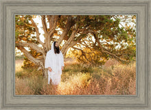 Load image into Gallery viewer, Our Tree of Life
