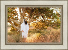 Load image into Gallery viewer, Our Tree of Life

