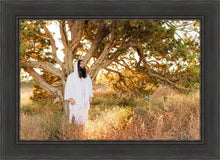 Load image into Gallery viewer, Our Tree of Life

