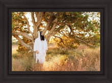 Load image into Gallery viewer, Our Tree of Life
