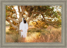 Load image into Gallery viewer, Our Tree of Life
