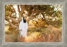 Load image into Gallery viewer, Our Tree of Life
