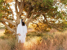 Load image into Gallery viewer, Our Tree of Life
