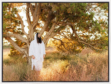 Load image into Gallery viewer, Our Tree of Life
