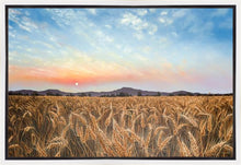 Load image into Gallery viewer, Golden Hour
