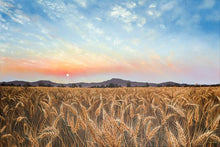 Load image into Gallery viewer, Golden Hour
