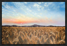 Load image into Gallery viewer, Golden Hour
