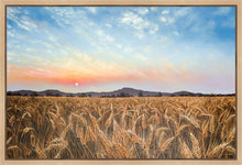 Load image into Gallery viewer, Golden Hour
