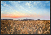 Load image into Gallery viewer, Golden Hour
