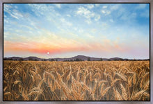 Load image into Gallery viewer, Golden Hour

