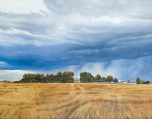 Load image into Gallery viewer, Stormy Skies

