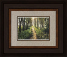 Load image into Gallery viewer, Enjoy The Beauty On Your Broken Path, Forest Walkway
