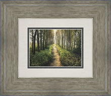 Load image into Gallery viewer, Enjoy The Beauty On Your Broken Path, Forest Walkway
