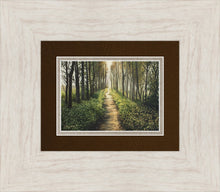 Load image into Gallery viewer, Enjoy The Beauty On Your Broken Path, Forest Walkway
