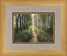 Load image into Gallery viewer, Enjoy The Beauty On Your Broken Path, Forest Walkway
