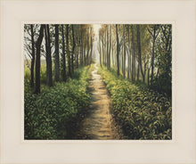 Load image into Gallery viewer, Enjoy The Beauty On Your Broken Path, Forest Walkway
