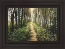 Load image into Gallery viewer, Enjoy The Beauty On Your Broken Path, Forest Walkway
